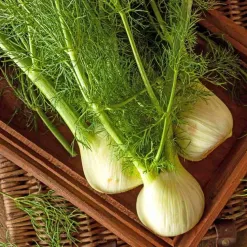 2270-1-romanesco-fennelbc-18212-1544491440.webp
