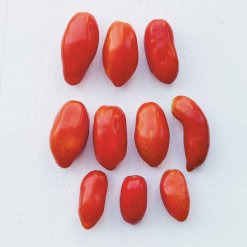 372-sz0290-rajce-san-marzano.jpeg