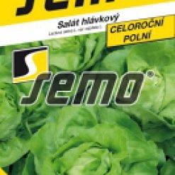 3831-semo-zelenina-salat-hlavkovy-merkurion-269x500.jpeg