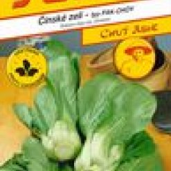 4458-cinske-zeli-CASH-F1.jpeg