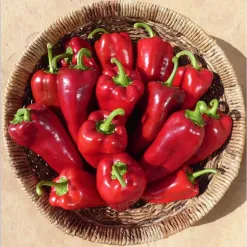 Paprika-Ajvarski-BIO.webp