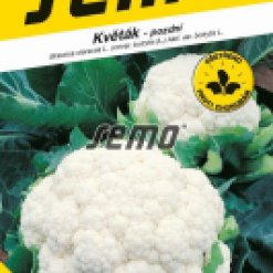 Semo-1863-Kvetak-Snow-Lady-pozdni.jpeg