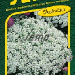 Semo-9040-Tarice-primorska-Corbeille-dArgent-bila.jpeg