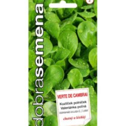 VERTE-DE-CAMBRAI-2-g-Kozlicek-polnicek.jpeg