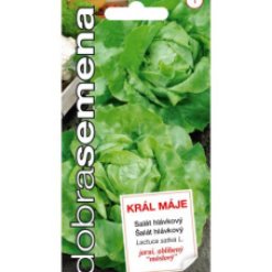 salat-hlavkovy-kral-maje-04-g.jpeg